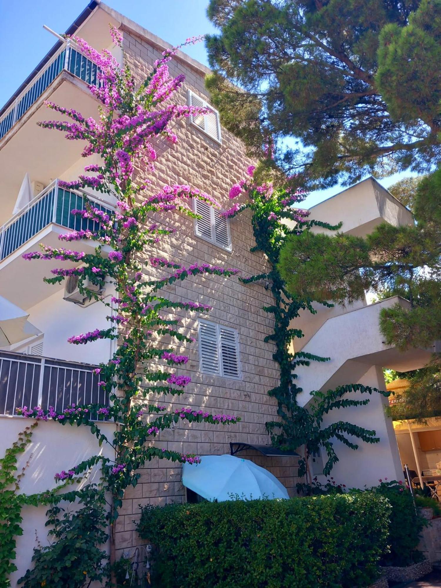 באסקה וודה Apartmani Omrcen מראה חיצוני תמונה